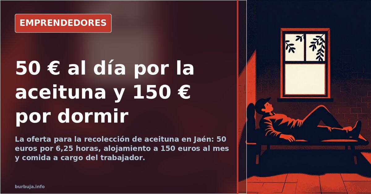 Trabajadores recogiendo aceitunas con varas y lienzos en un olivar de Jaén durante la campaña de recolección