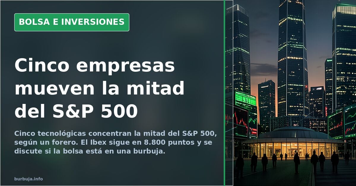 Fünf Tech-Konzerne stellen die Hälfte des S&P 500