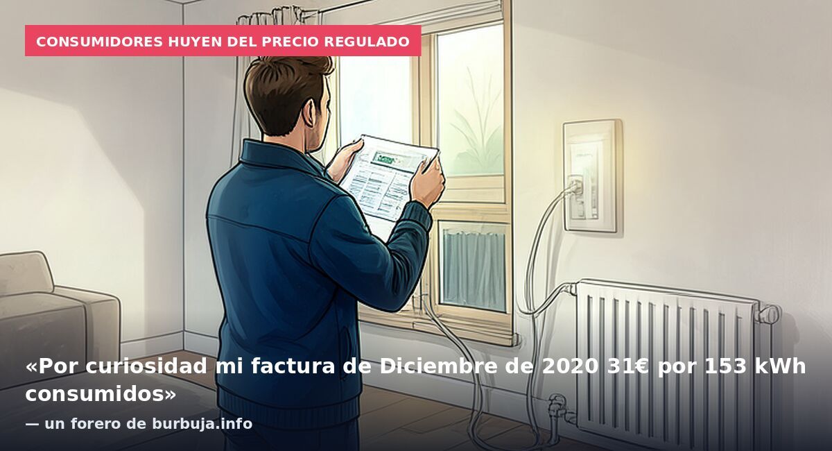 Consumidores huyen del precio regulado: «Por curiosidad mi factura de Diciembre de 2020 31€ por 153 kWh consumidos» — un forero de burbuja.info