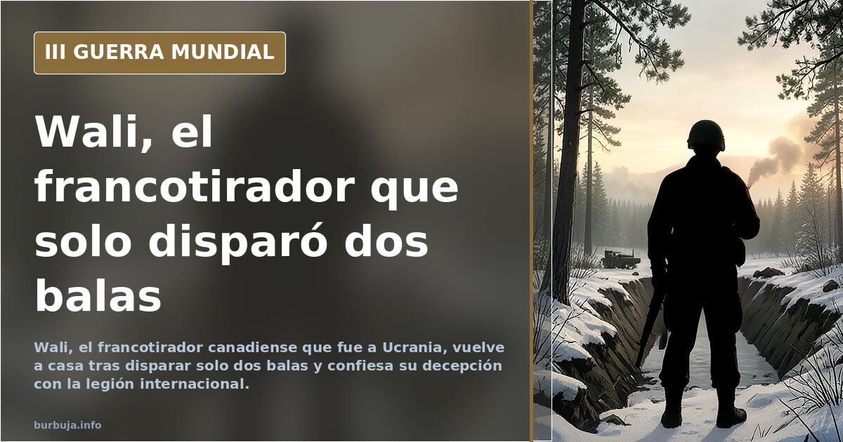 Silueta de un francotirador canadiense con uniforme militar y rifle, de espaldas, en un paisaje desaturado con humo lejano
