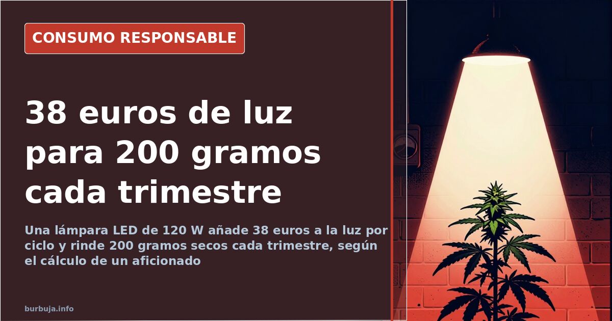 Lámpara LED de cultivo indoor de 120 vatios iluminando plantas dentro de un armario de 0,80 por 0,80 metros