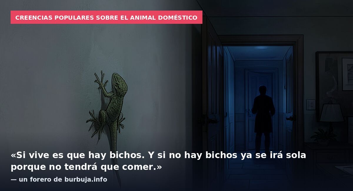 Creencias populares sobre el animal doméstico: «Si vive es que hay bichos. Y si no hay bichos ya se irá sola porque no tendrá que comer.» — un forero de burbuja.info