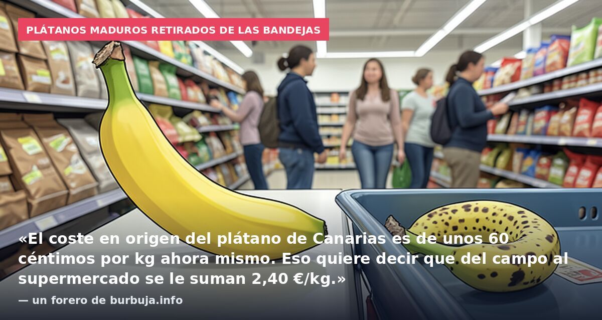 Plátanos maduros retirados de las bandejas: «El coste en origen del plátano de Canarias es de unos 60 céntimos por kg ahora mismo. Eso quiere decir que del campo al supermercado se le suman 2,40 €/kg.» — un forero de burbuja.info