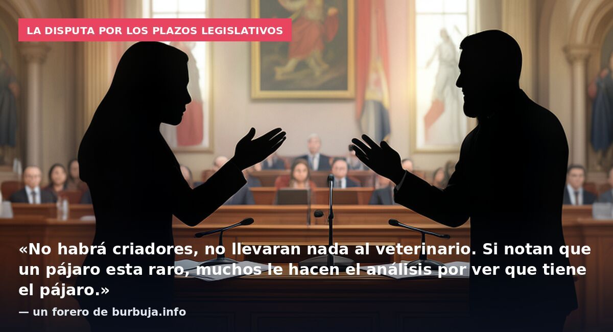 La disputa por los plazos legislativos: «No habrá criadores, no llevaran nada al veterinario. Si notan que un pájaro esta raro, muchos le hacen el análisis por ver que tiene el pájaro.» — un forero de burbuja.info