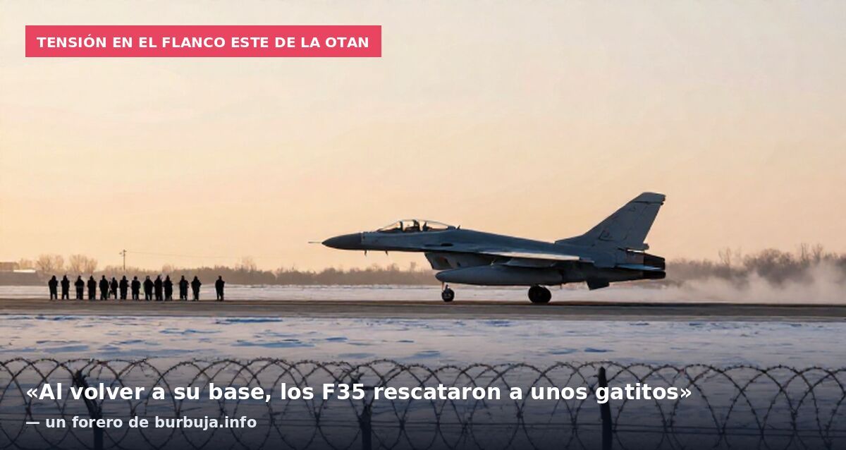 Tensión en el flanco este de la OTAN: «Al volver a su base, los F35 rescataron a unos gatitos» — un forero de burbuja.info