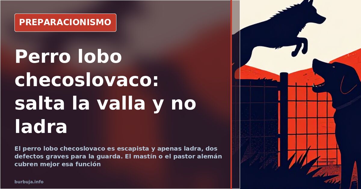Ejemplar de perro lobo checoslovaco junto a la valla de un jardín
