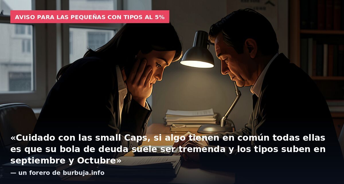 Aviso para las pequeñas con tipos al 5%: «Cuidado con las small Caps, si algo tienen en común todas ellas es que su bola de deuda suele ser tremenda y los tipos suben en septiembre y Octubre» — un forero de burbuja.info
