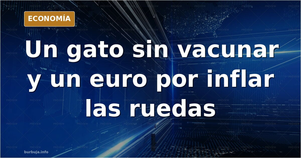Pagar por todo: impuestos, IVA y la cartilla del gato