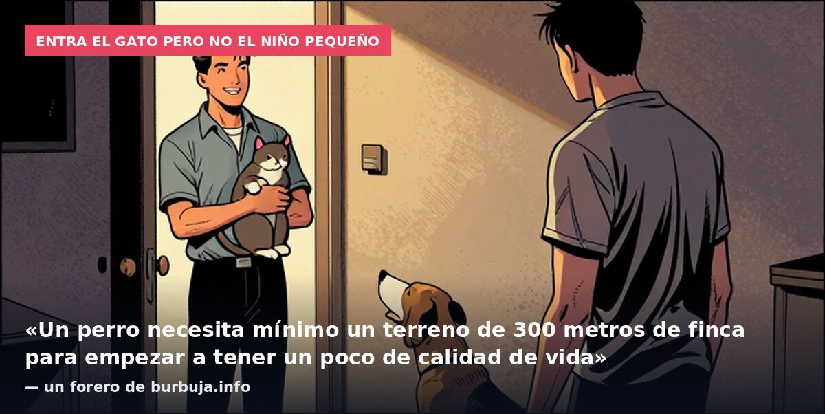 Entra el gato pero no el niño pequeño: «Un perro necesita mínimo un terreno de 300 metros de finca para empezar a tener un poco de calidad de vida» — un forero de burbuja.info