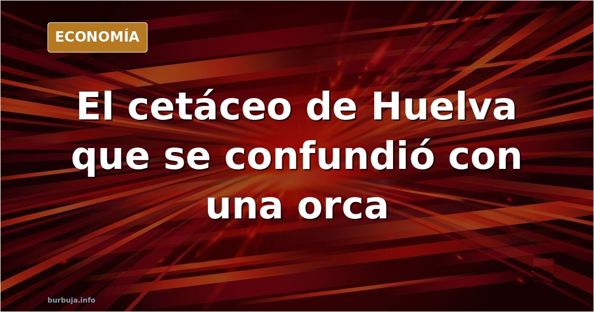 Un cetáceo oscuro nada junto a la orilla de una playa de Huelva mientras los bañistas lo observan desde el agua