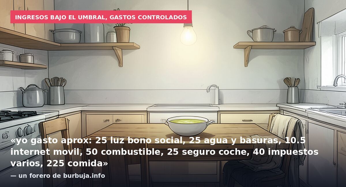 Ingresos bajo el umbral, gastos controlados: «yo gasto aprox: 25 luz bono social, 25 agua y basuras, 10.5 internet movil, 50 combustible, 25 seguro coche, 40 impuestos varios, 225 comida» — un forero de burbuja.info