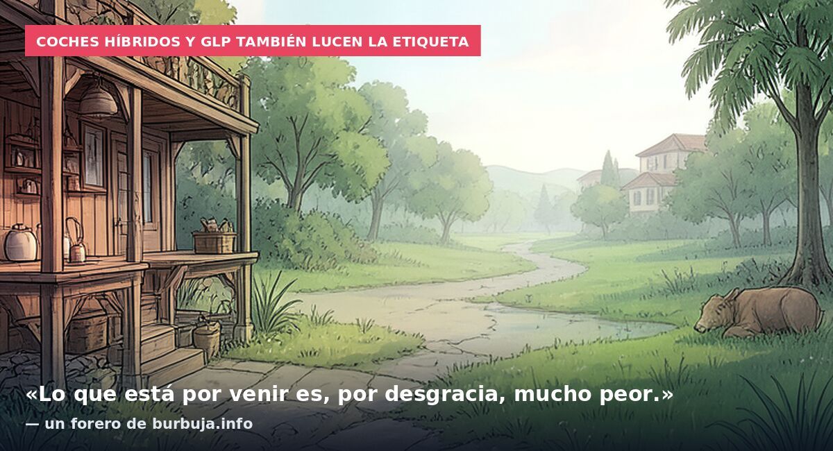 Coches híbridos y GLP también lucen la etiqueta: «Lo que está por venir es, por desgracia, mucho peor.» — un forero de burbuja.info