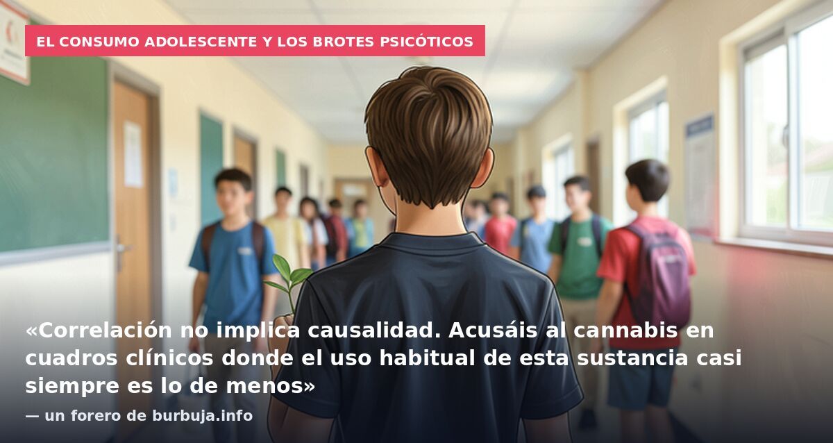 El consumo adolescente y los brotes psicóticos: «Correlación no implica causalidad. Acusáis al cannabis en cuadros clínicos donde el uso habitual de esta sustancia casi siempre es lo de menos» — un forero de burbuja.info