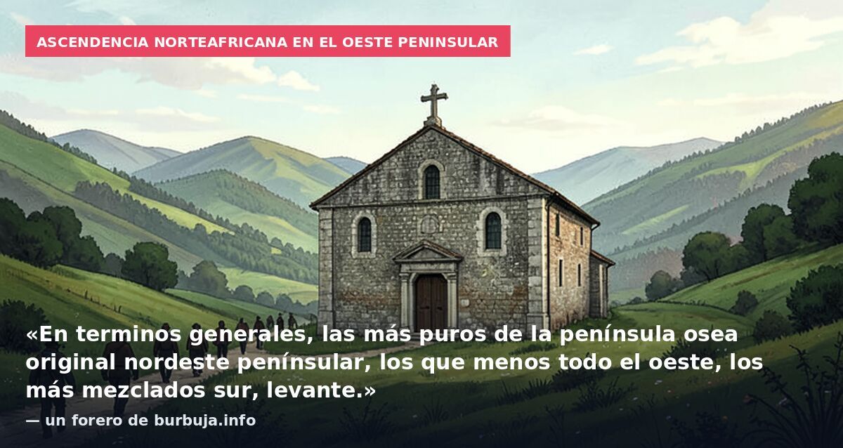 Ascendencia norteafricana en el oeste peninsular: «En terminos generales, las más puros de la península osea original nordeste penínsular, los que menos todo el oeste, los más mezclados sur, levante.» — un forero de burbuja.info