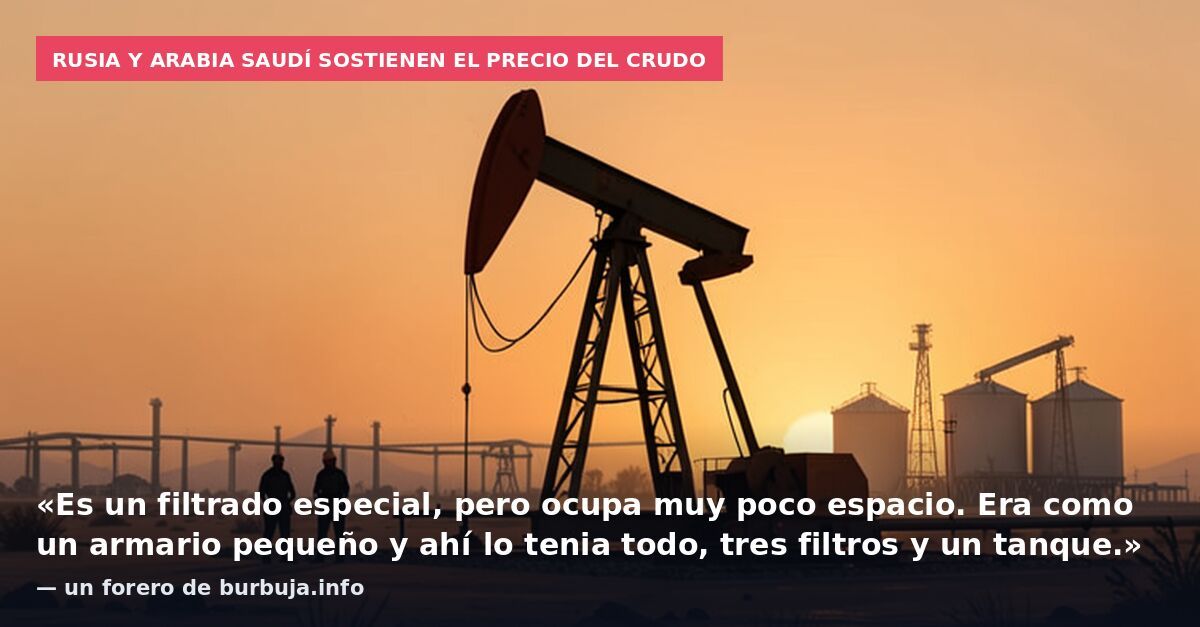 Rusia y Arabia Saudí sostienen el precio del crudo: «Es un filtrado especial, pero ocupa muy poco espacio. Era como un armario pequeño y ahí lo tenia todo, tres filtros y un tanque.» — un forero de burbuja.info