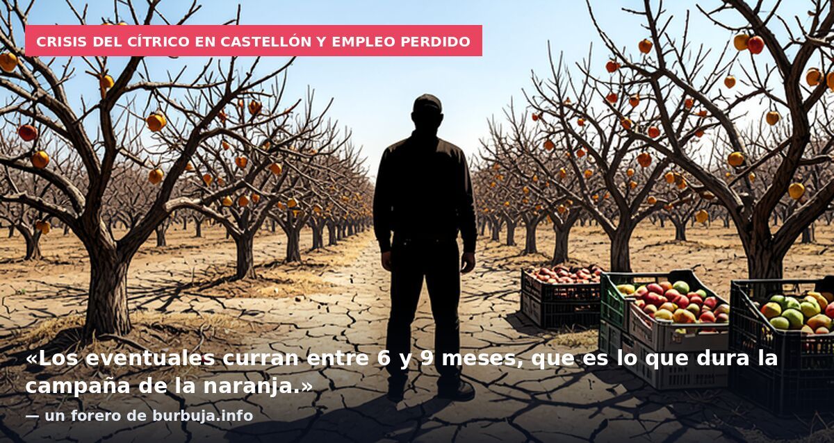 Crisis del cítrico en Castellón y empleo perdido: «Los eventuales curran entre 6 y 9 meses, que es lo que dura la campaña de la naranja.» — un forero de burbuja.info