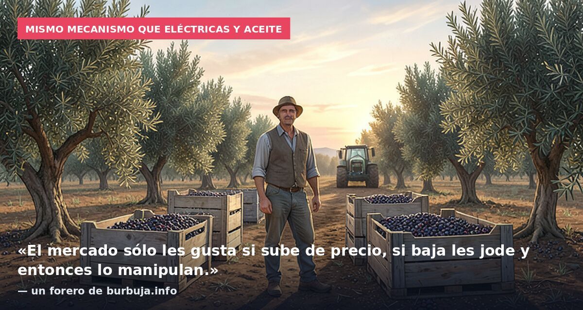 Mismo mecanismo que eléctricas y aceite: «El mercado sólo les gusta si sube de precio, si baja les jode y entonces lo manipulan.» — un forero de burbuja.info