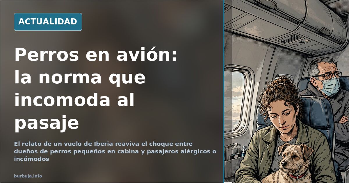 Perros en cabina: la norma que enfrenta a pasajeros y dueños