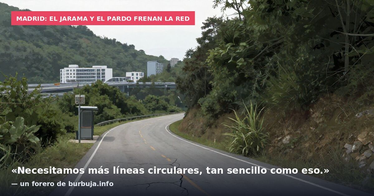 Madrid: el Jarama y el Pardo frenan la red: «Necesitamos más líneas circulares, tan sencillo como eso.» — un forero de burbuja.info