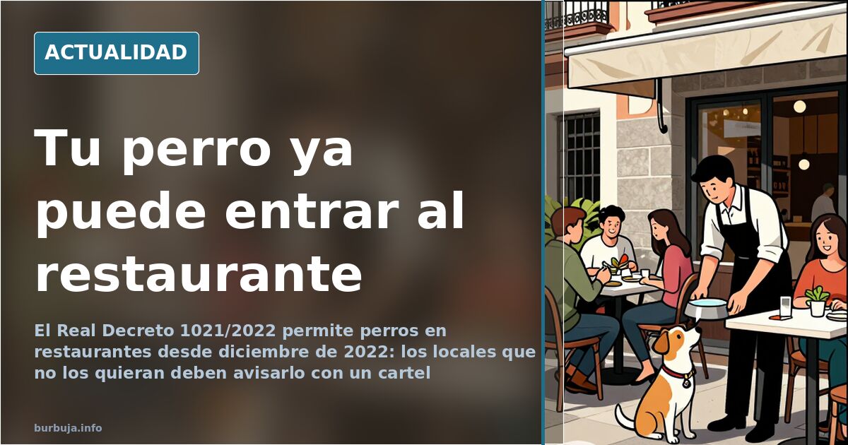 Perros en restaurantes: la ley cambió y ya no hay vuelta atrás