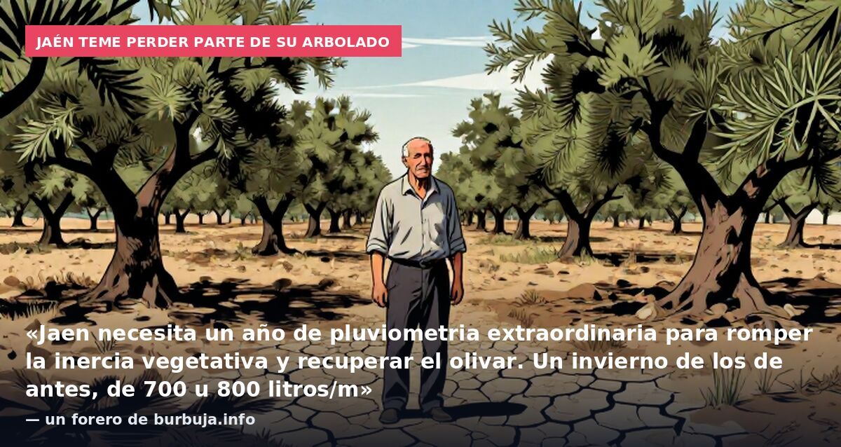 Jaén teme perder parte de su arbolado: «Jaen necesita un año de pluviometria extraordinaria para romper la inercia vegetativa y recuperar el olivar. Un invierno de los de antes, de 700 u 800 litros/m» — un forero de burbuja.info
