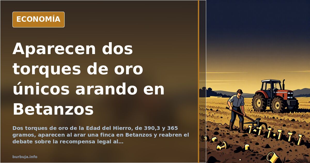 Dos torques de oro de la Edad del Hierro hallados al arar en Betanzos