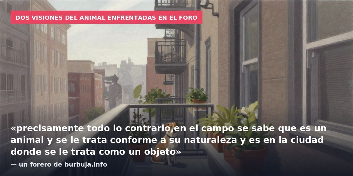 Dos visiones del animal enfrentadas en el foro: «precisamente todo lo contrario,en el campo se sabe que es un animal y se le trata conforme a su naturaleza y es en la ciudad donde se le trata como un objeto» — un forero de burbuja.info