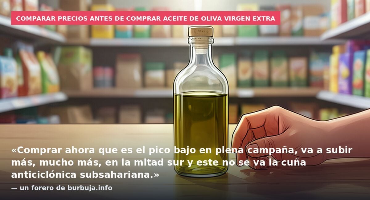 Comparar precios antes de comprar aceite de oliva virgen extra: «Comprar ahora que es el pico bajo en plena campaña, va a subir más, mucho más, en la mitad sur y este no se va la cuña anticiclónica subsahariana.» — un forero de burbuja.info