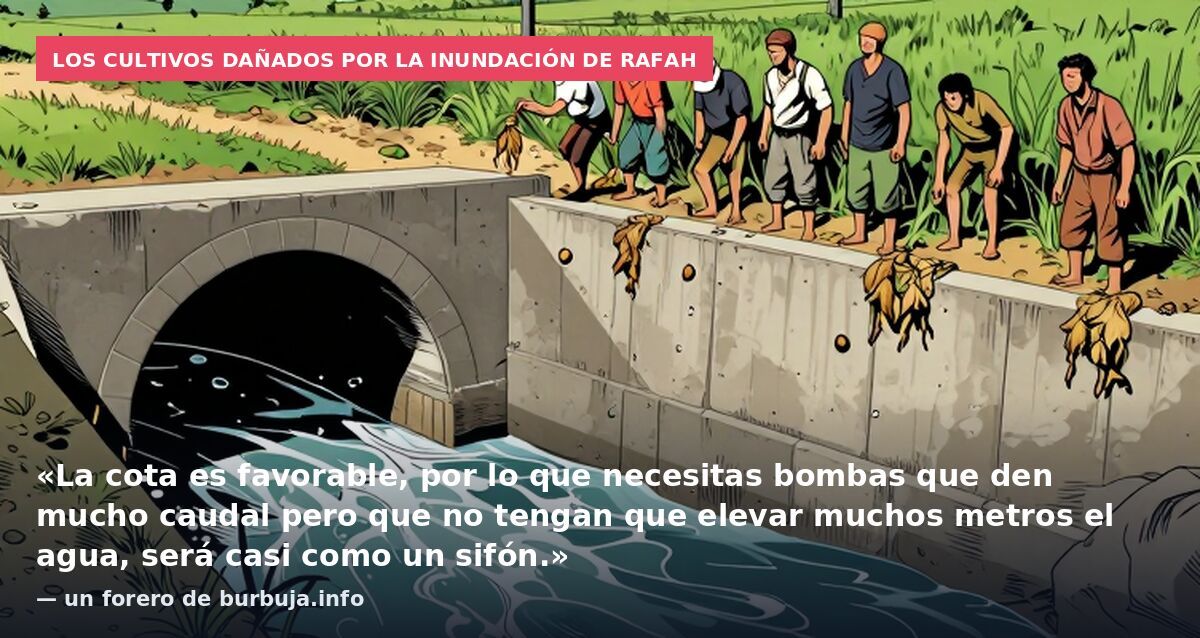 Los cultivos dañados por la inundación de Rafah: «La cota es favorable, por lo que necesitas bombas que den mucho caudal pero que no tengan que elevar muchos metros el agua, será casi como un sifón.» — un forero de burbuja.info