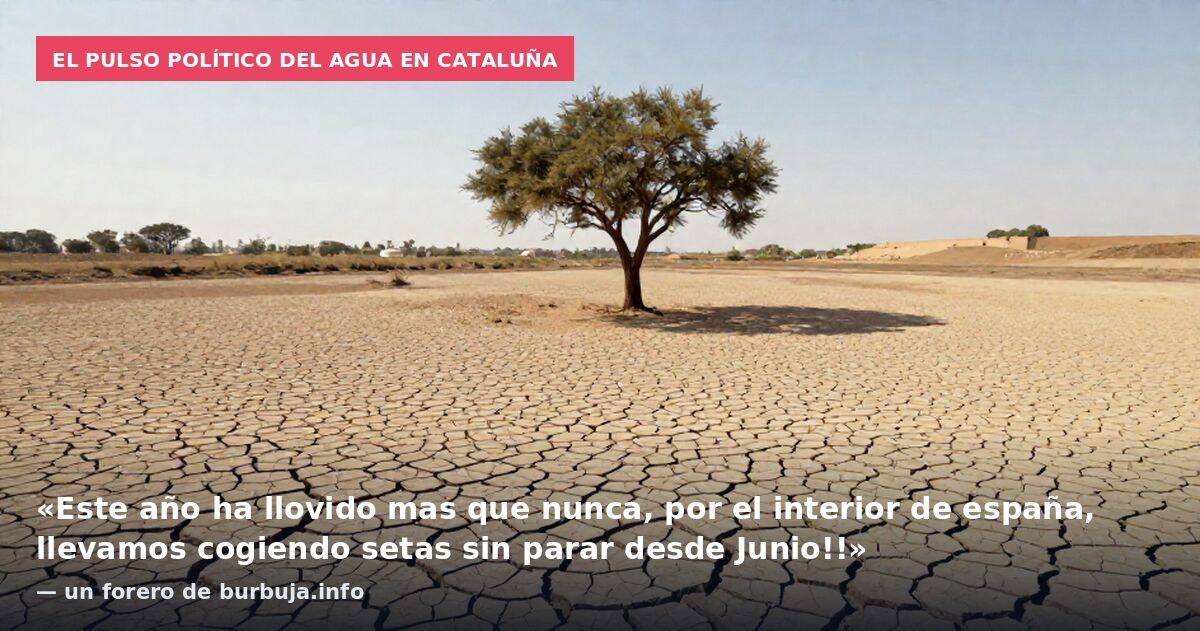 El pulso político del agua en Cataluña: «Este año ha llovido mas que nunca, por el interior de españa, llevamos cogiendo setas sin parar desde Junio!!» — un forero de burbuja.info