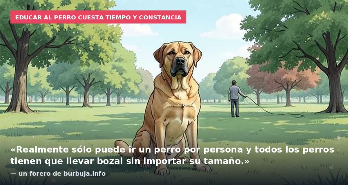Educar al perro cuesta tiempo y constancia: «Realmente sólo puede ir un perro por persona y todos los perros tienen que llevar bozal sin importar su tamaño.» — un forero de burbuja.info