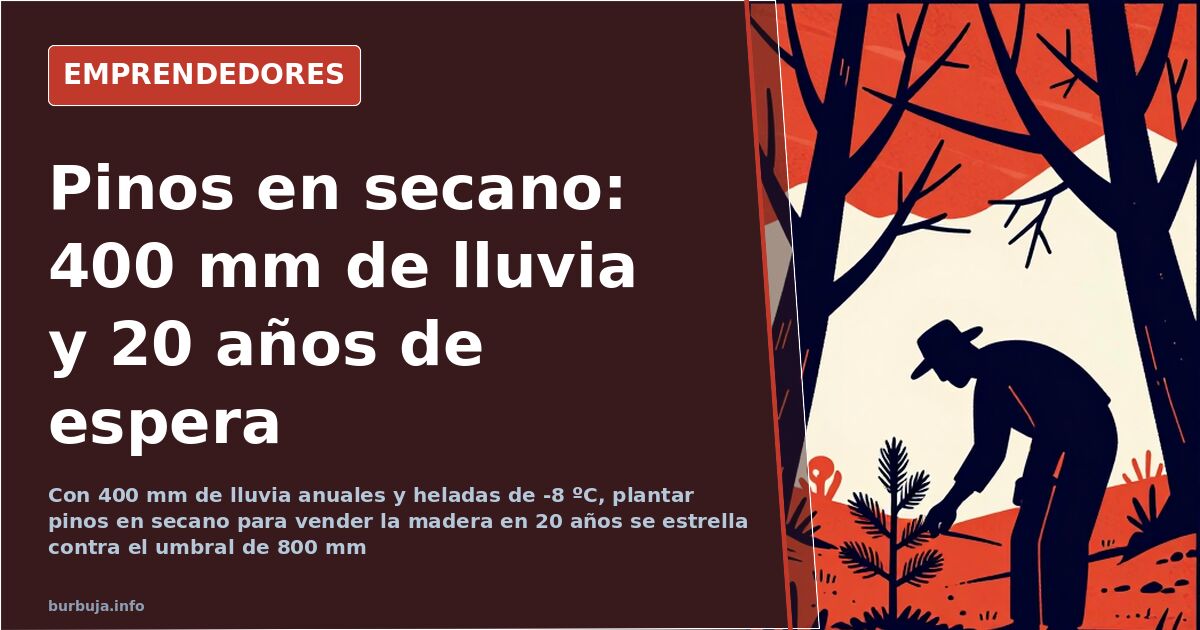 Plantar pinos en secano y vender madera: los números no salen