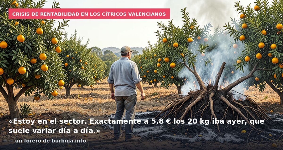 Crisis de rentabilidad en los cítricos valencianos: «Estoy en el sector. Exactamente a 5,8 € los 20 kg iba ayer, que suele variar día a día.» — un forero de burbuja.info
