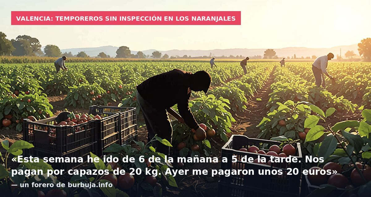 Valencia: temporeros sin inspección en los naranjales: «Esta semana he ido de 6 de la mañana a 5 de la tarde. Nos pagan por capazos de 20 kg. Ayer me pagaron unos 20 euros» — un forero de burbuja.info