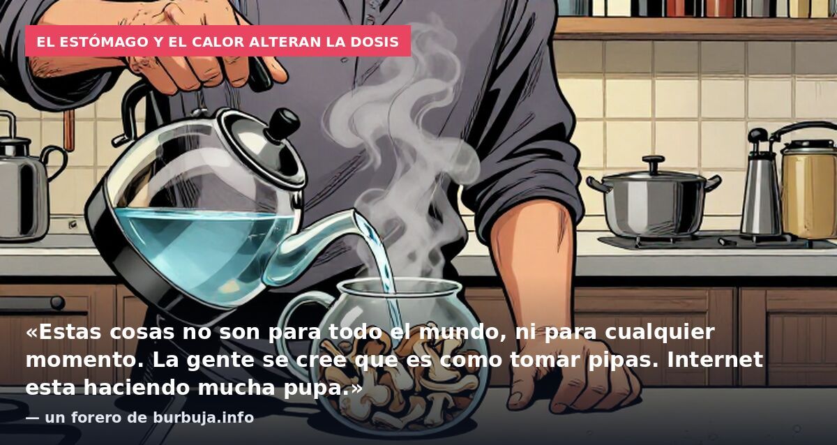 El estómago y el calor alteran la dosis: «Estas cosas no son para todo el mundo, ni para cualquier momento. La gente se cree que es como tomar pipas. Internet esta haciendo mucha pupa.» — un forero de burbuja.info