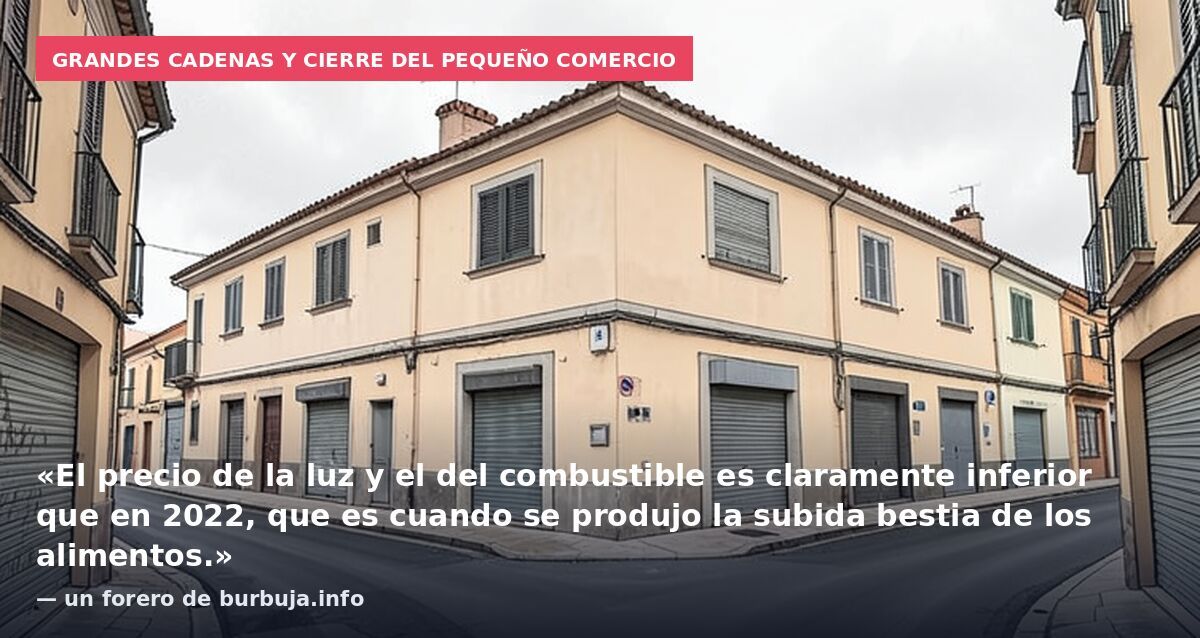 Grandes cadenas y cierre del pequeño comercio: «El precio de la luz y el del combustible es claramente inferior que en 2022, que es cuando se produjo la subida bestia de los alimentos.» — un forero de burbuja.info