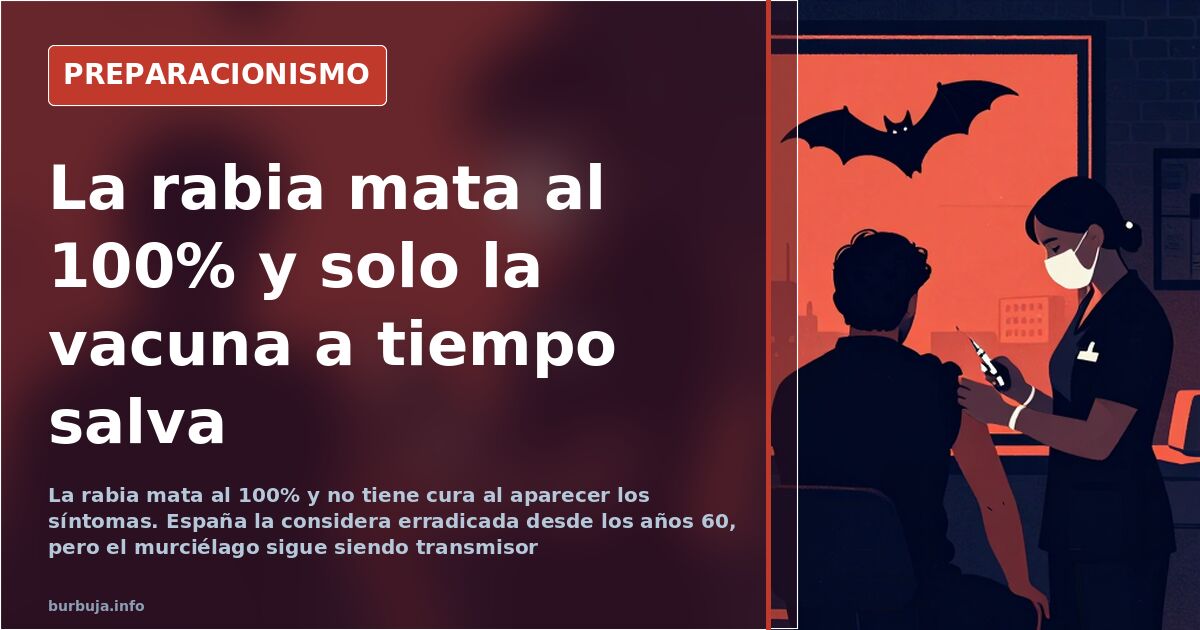 Primer plano de un murciélago, vector de un virus de la misma familia que la rabia erradicada en mamíferos terrestres