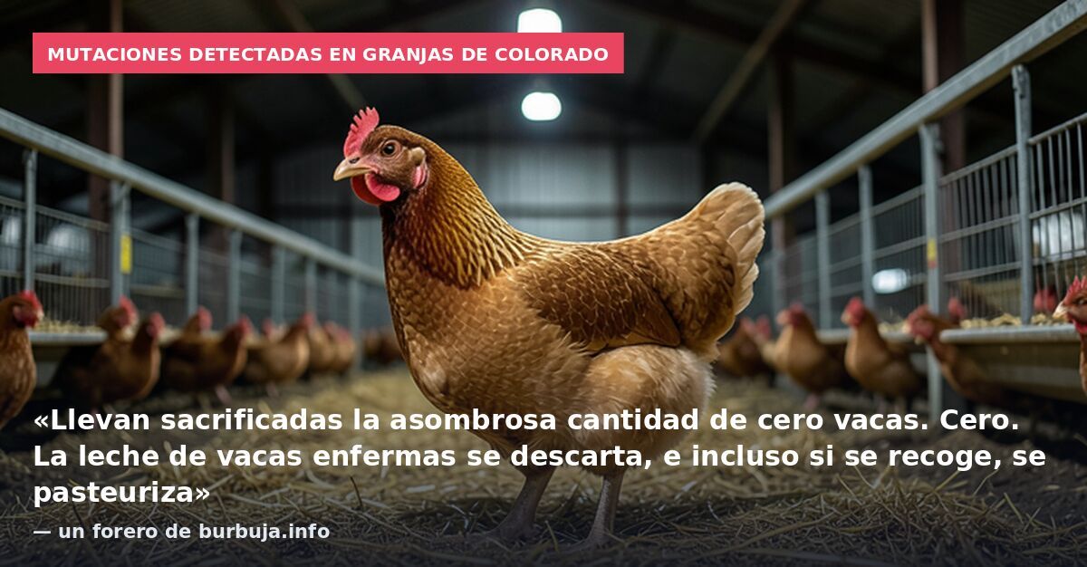 Mutaciones detectadas en granjas de Colorado: «Llevan sacrificadas la asombrosa cantidad de cero vacas. Cero. La leche de vacas enfermas se descarta, e incluso si se recoge, se pasteuriza» — un forero de burbuja.info