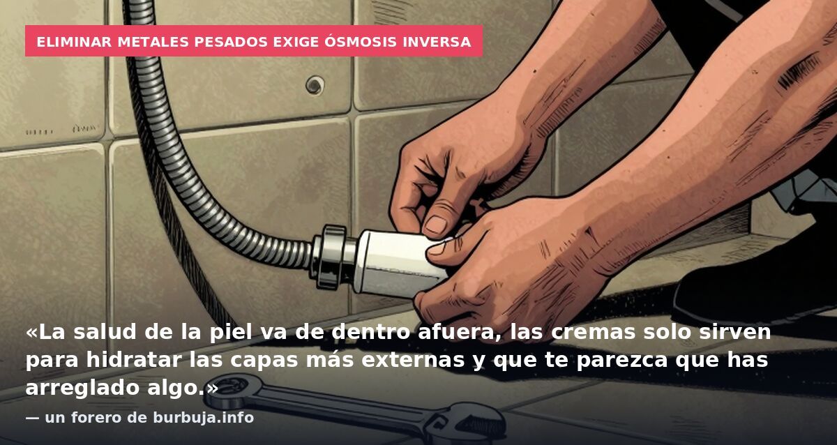Eliminar metales pesados exige ósmosis inversa: «La salud de la piel va de dentro afuera, las cremas solo sirven para hidratar las capas más externas y que te parezca que has arreglado algo.» — un forero de burbuja.info