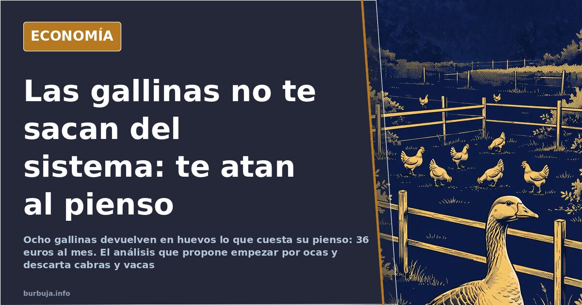Gallinas picoteando en el patio de una casa rural con un gallinero de madera al fondo y hierba alta alrededor