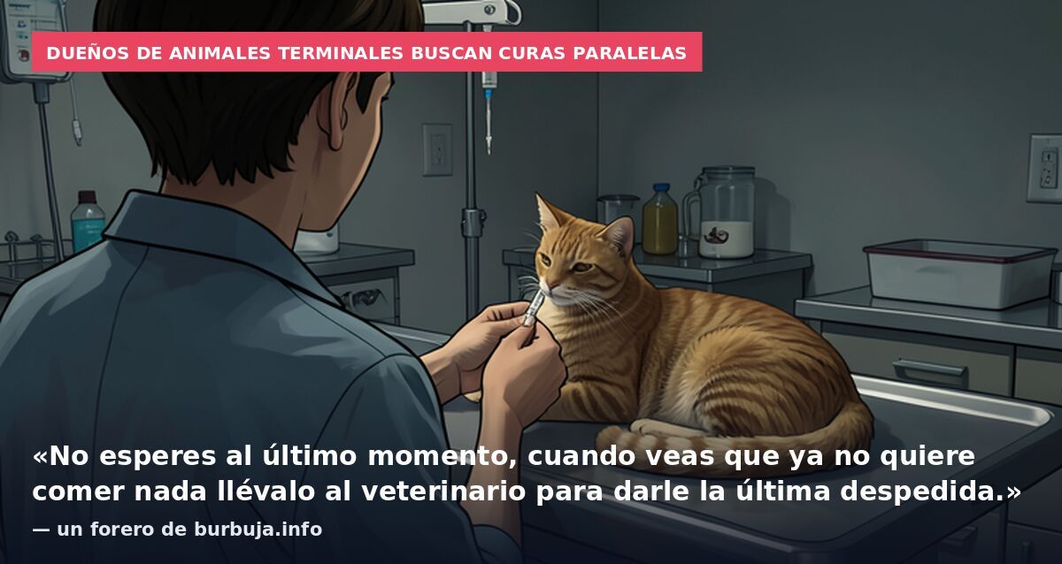Dueños de animales terminales buscan curas paralelas: «No esperes al último momento, cuando veas que ya no quiere comer nada llévalo al veterinario para darle la última despedida.» — un forero de burbuja.info