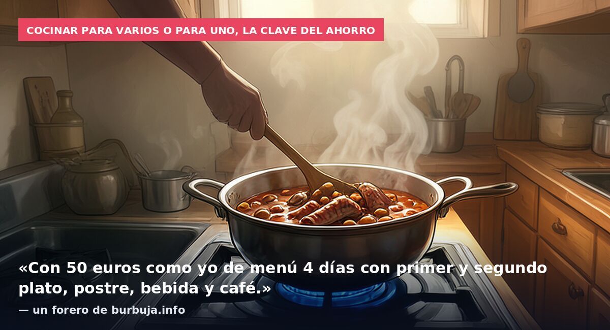 Cocinar para varios o para uno, la clave del ahorro: «Con 50 euros como yo de menú 4 días con primer y segundo plato, postre, bebida y café.» — un forero de burbuja.info