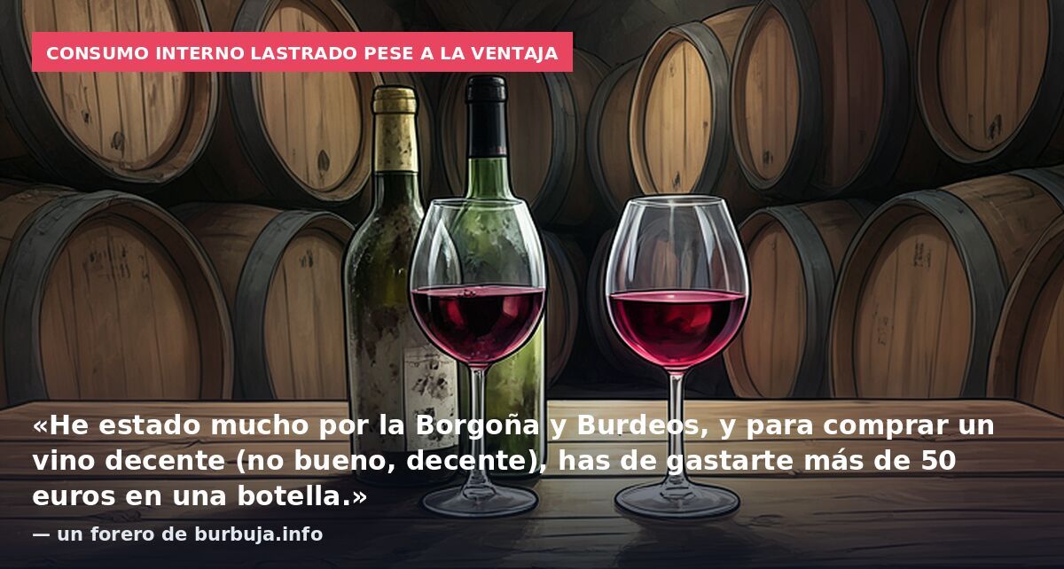 Consumo interno lastrado pese a la ventaja: «He estado mucho por la Borgoña y Burdeos, y para comprar un vino decente (no bueno, decente), has de gastarte más de 50 euros en una botella.» — un forero de burbuja.info