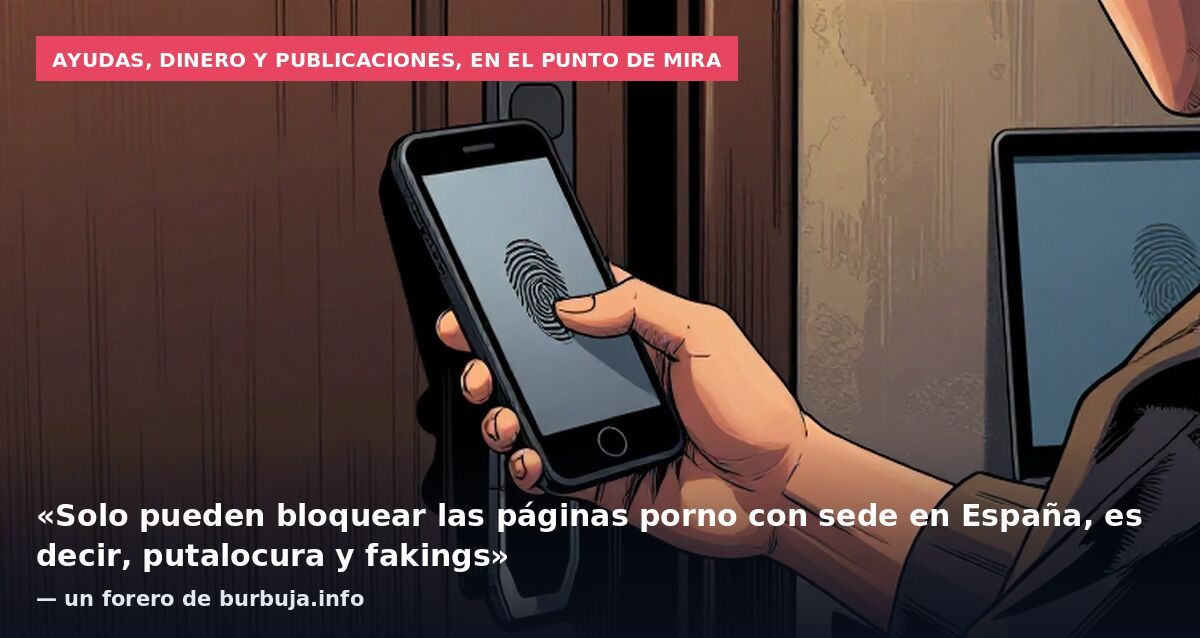 Ayudas, dinero y publicaciones, en el punto de mira: «Solo pueden bloquear las páginas porno con sede en España, es decir, putalocura y fakings» — un forero de burbuja.info