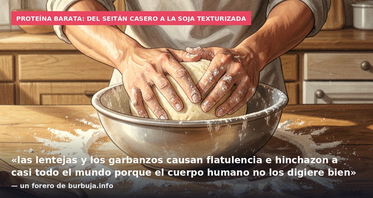 Proteína barata: del seitán casero a la soja texturizada: «las lentejas y los garbanzos causan flatulencia e hinchazon a casi todo el mundo porque el cuerpo humano no los digiere bien» — un forero de burbuja.info