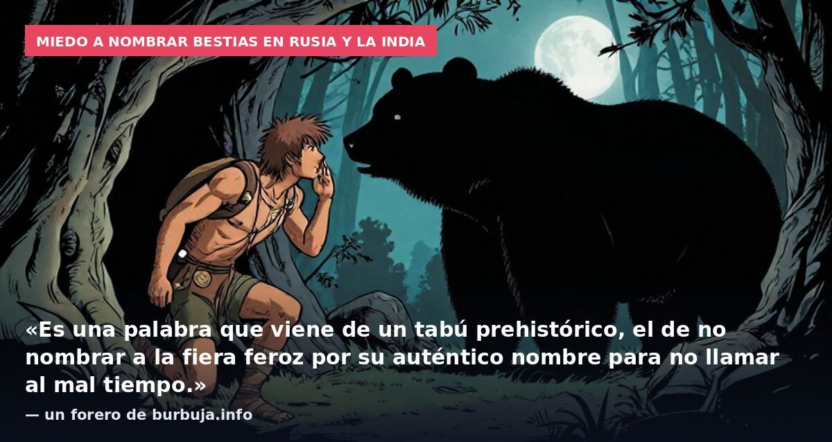 Etimologías curiosas de palabras corrientes.