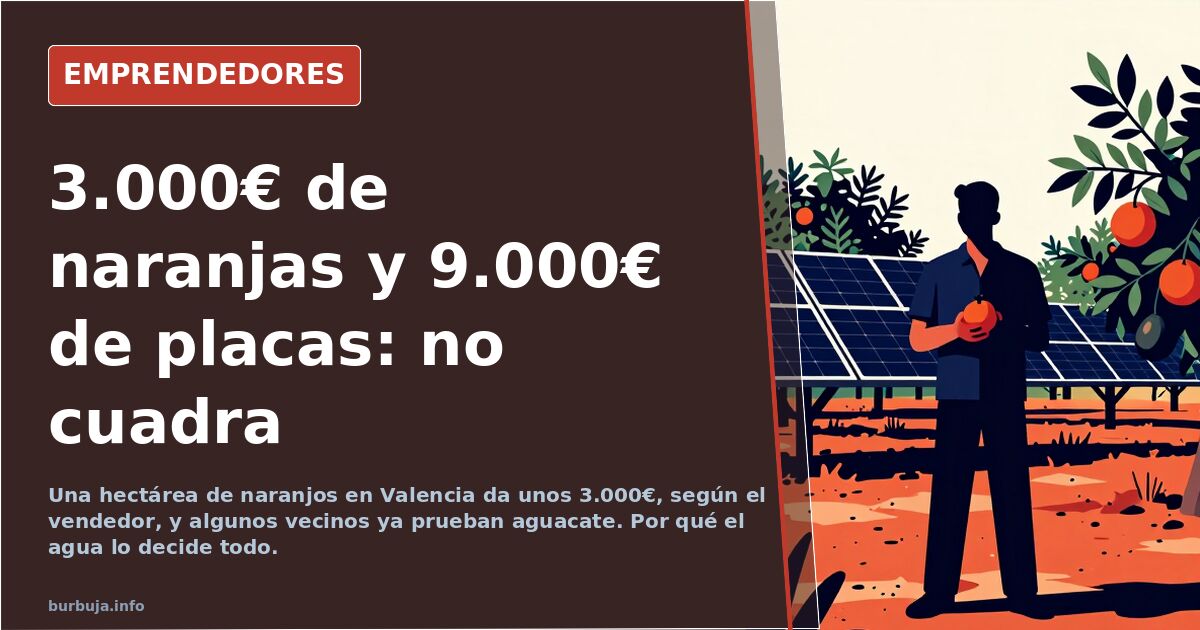 Naranjos en Valencia: 3.000€ al año y la tentación del aguacate