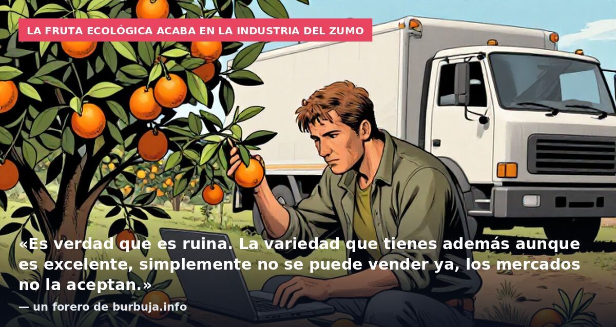 La fruta ecológica acaba en la industria del zumo: «Es verdad que es ruina. La variedad que tienes además aunque es excelente, simplemente no se puede vender ya, los mercados no la aceptan.» — un forero de burbuja.info