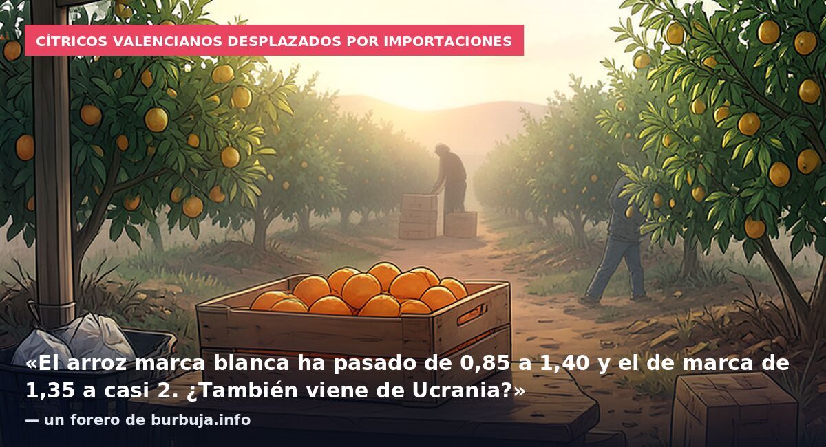 Cítricos valencianos desplazados por importaciones: «El arroz marca blanca ha pasado de 0,85 a 1,40 y el de marca de 1,35 a casi 2. ¿También viene de Ucrania?» — un forero de burbuja.info