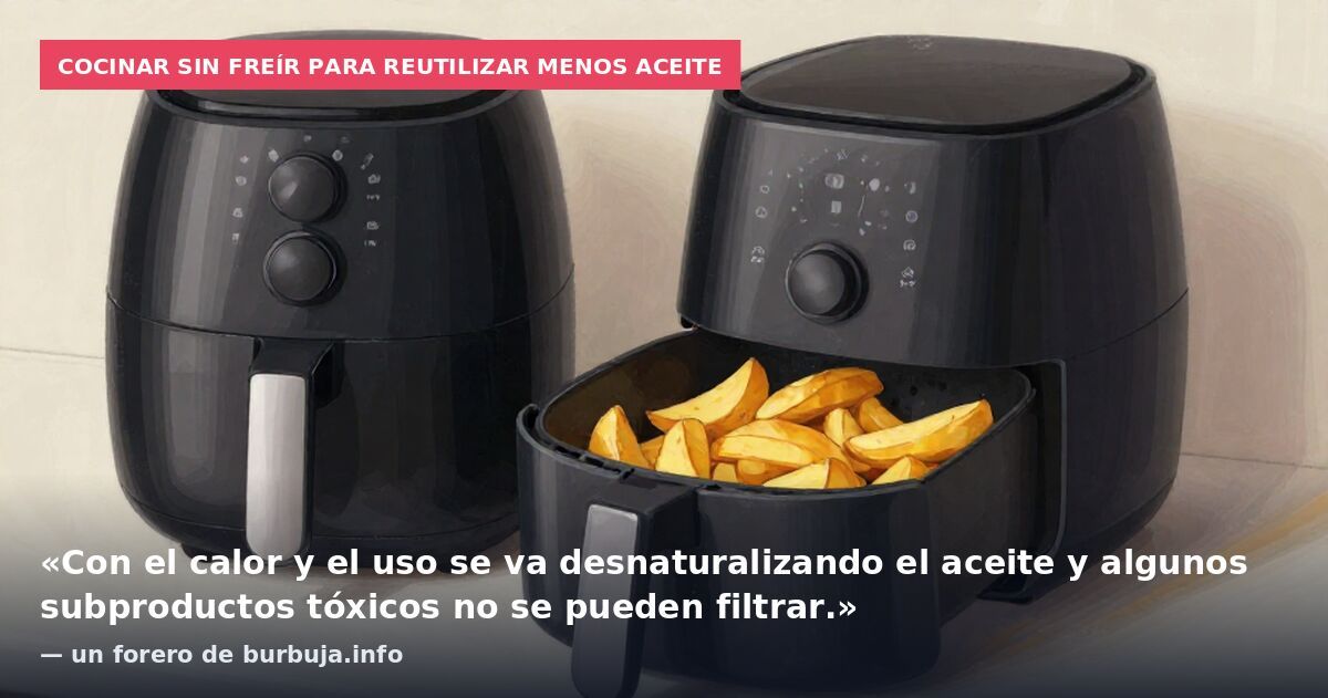 Cocinar sin freír para reutilizar menos aceite: «Con el calor y el uso se va desnaturalizando el aceite y algunos subproductos tóxicos no se pueden filtrar.» — un forero de burbuja.info